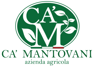 ca-mantovani-rev-1.png